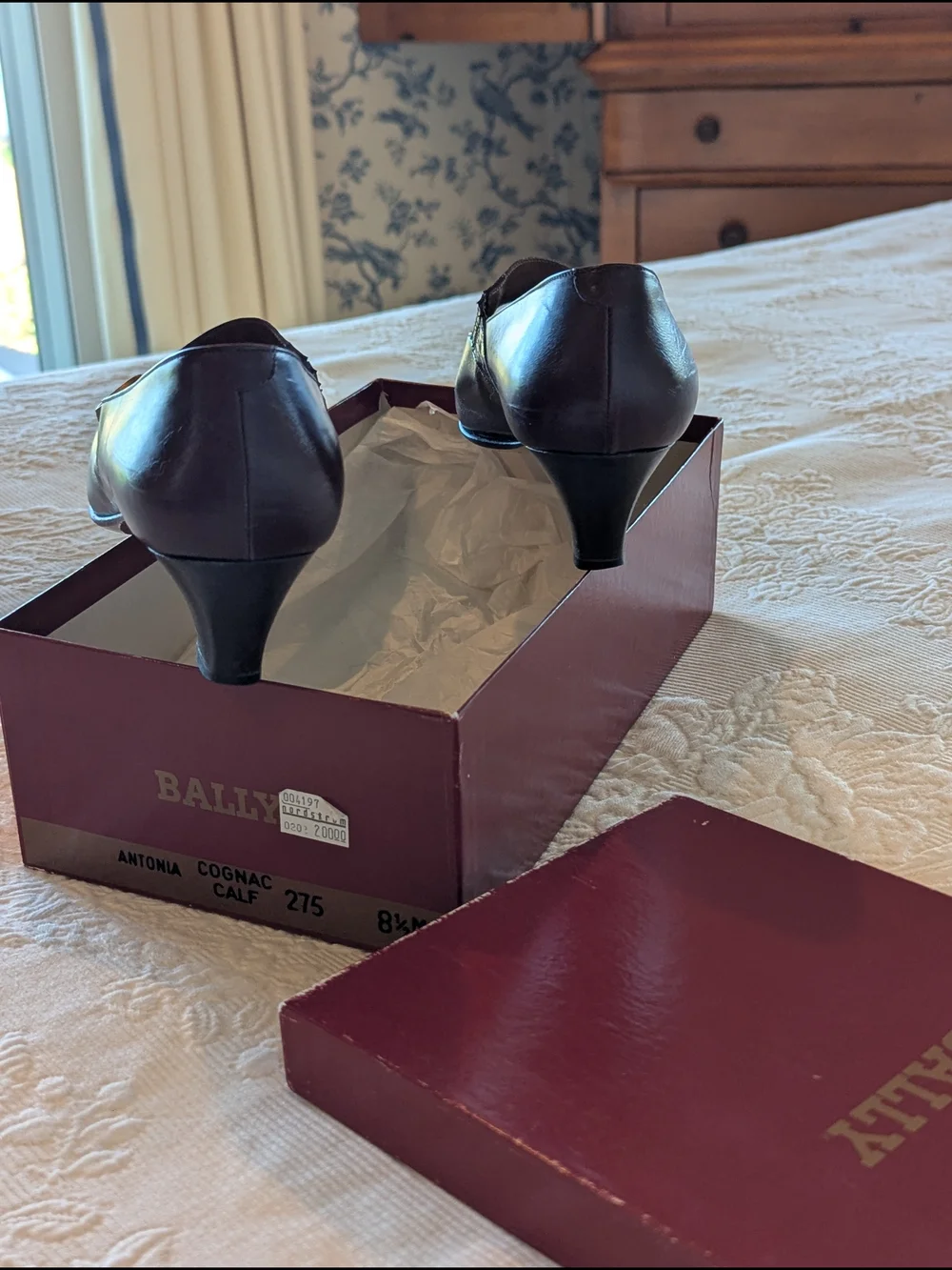 Bally elevate your